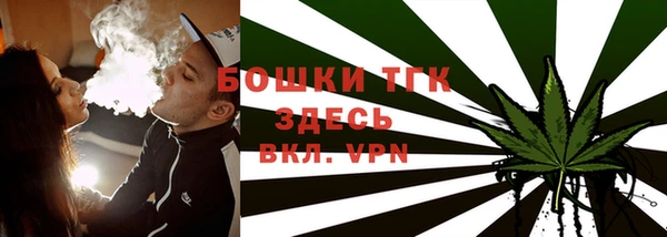 прущие грибы Беломорск