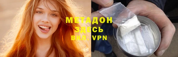 прущие грибы Беломорск