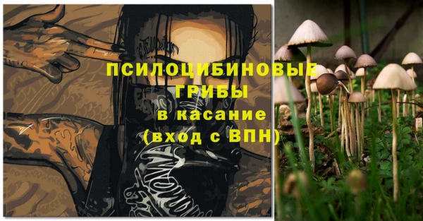 мет Белокуриха